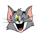 Avatar Image of Mr. Tom